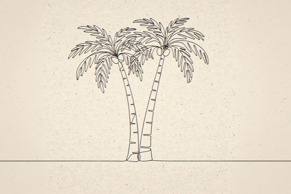 Boho Palm Tree Line Art