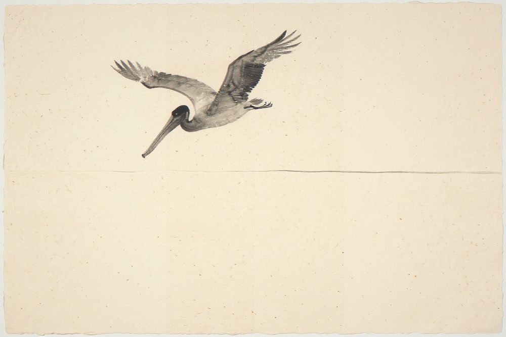Sumi-e Pelican Print — room mockup